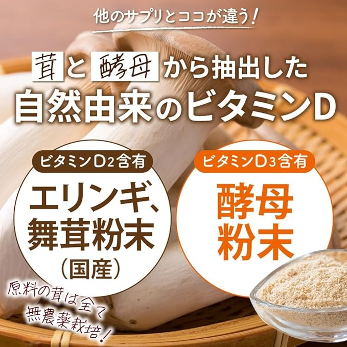 YONEKiCHi Vitamin D Supplement 2500IU Naturally Derived (Maitake, Eringi, Yeast), Contains 100 Billion Lactic Acid Bacteria, Made in Japan, 60 Tablets, 30 Days Supply, 1 Bag - BeesActive Australia