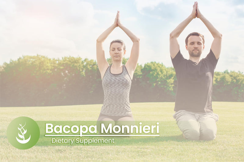 Pure Original Ingredients Bacopa Monnieri, (100 Capsules) Always Pure, No Additives Or Fillers, Lab Verified