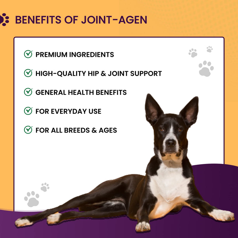 Chemeyes Joint-Agen Hip & Joint Care Powder Supplement for Dogs with Hydrolysed Collagen, Glucosamine, Vitamin-C & Hyaluronic Acid - Promotes Supple & Mobile Joints, Hip & Joint Support - 250g 250