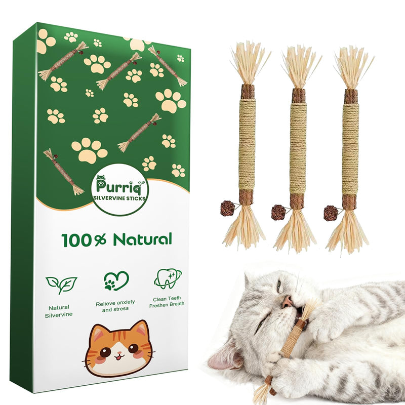 Natural Silvervine Dental Sticks, Natural Silvervine Sticks for Cats, Cleaning Dental, Scratch and Bite Resistant, Calm Cat Boring, for Indoor Kitty Interactive Kitten Chew Playthings (3Pcs) 3Pcs