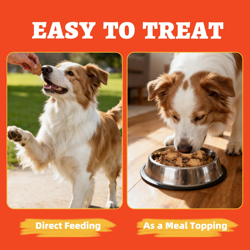 Just Try 15 OZ Salmon Oil Dog Treats Skin and Coat Health for Dogs Omega 3 Fatty Acids Puppy Training Treats Healthy Dog Treats
