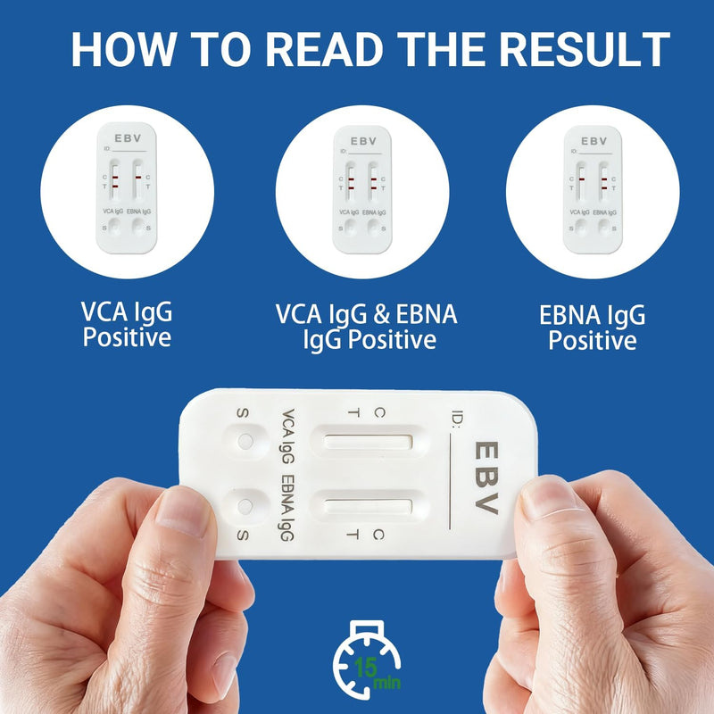 at-Home Epstein-Barr (EBV) Test Kit – Finger-Prick Sample, No Lab Visit Needed – Detects IgG Response to VCA & EBNA (for in Vitro Diagnostic Use Only) 1 Count (Pack of 1) - BeesActive Australia