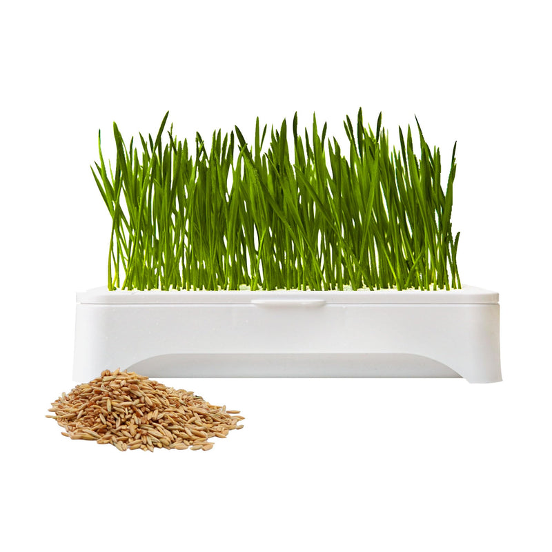 The Environet Cat Grass for Indoor Cats, Cat Grass Kit with Organic Seeds Mix and Hydroponic Sprout Tray, 100% Non-GMO, Hairball Control, Digestion Support, Ideal Gift for Cat Lovers