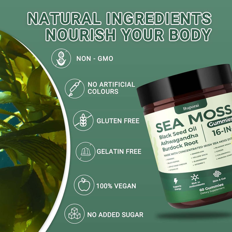 Sea Moss Gummies 16-1, Black Seed Oil Ashwagandha Turmeric Bladder Wrack Vitamin C Vitamin D3 Elderberry Manuka Dandelion Yellow Dock Apple Cider Vinegar for Men & Women Pack of 1