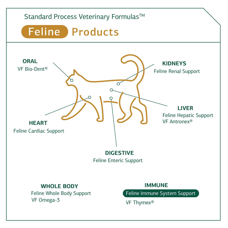 Standard Process Feline Immune System Support - Nutritional Supplement for Feline Immune Health Support - Cat Supplement Tablets to Aid Healthy Immune Cells & Tissue - 90 Tablets - BeesActive Australia