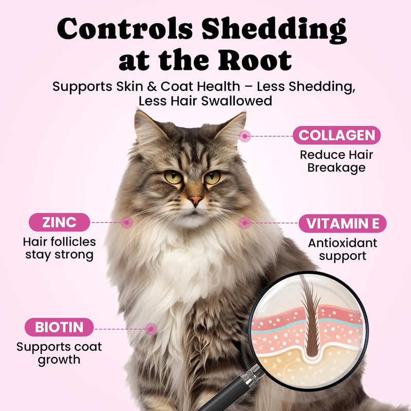 Cat Oral & Hairball Support Bundle – Dental Water Additive with Hairball Control Creamy-Filled Treats for Digestive Comfort & Oral Care