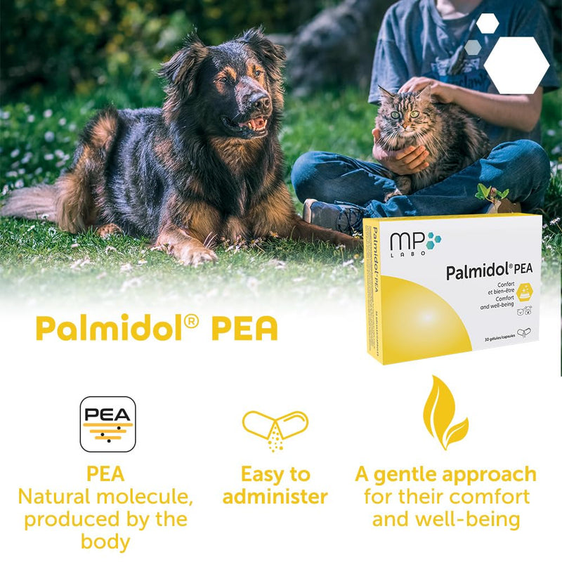 Palmidol® PEA for Dogs and Cats – 30 Sprinkle Capsules | Ideal for Senior Pets & Wellness Support