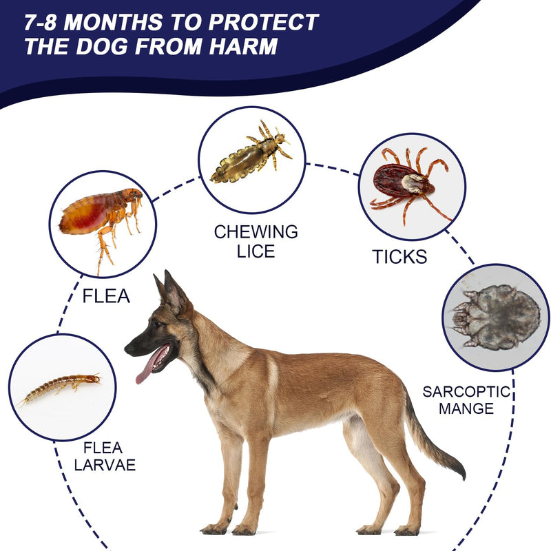 Adjustable tick and flea protection collar dog, flea and tick collar for dogs, natural tick protection, length: 63cm, for small, medium and large pets - BeesActive Australia