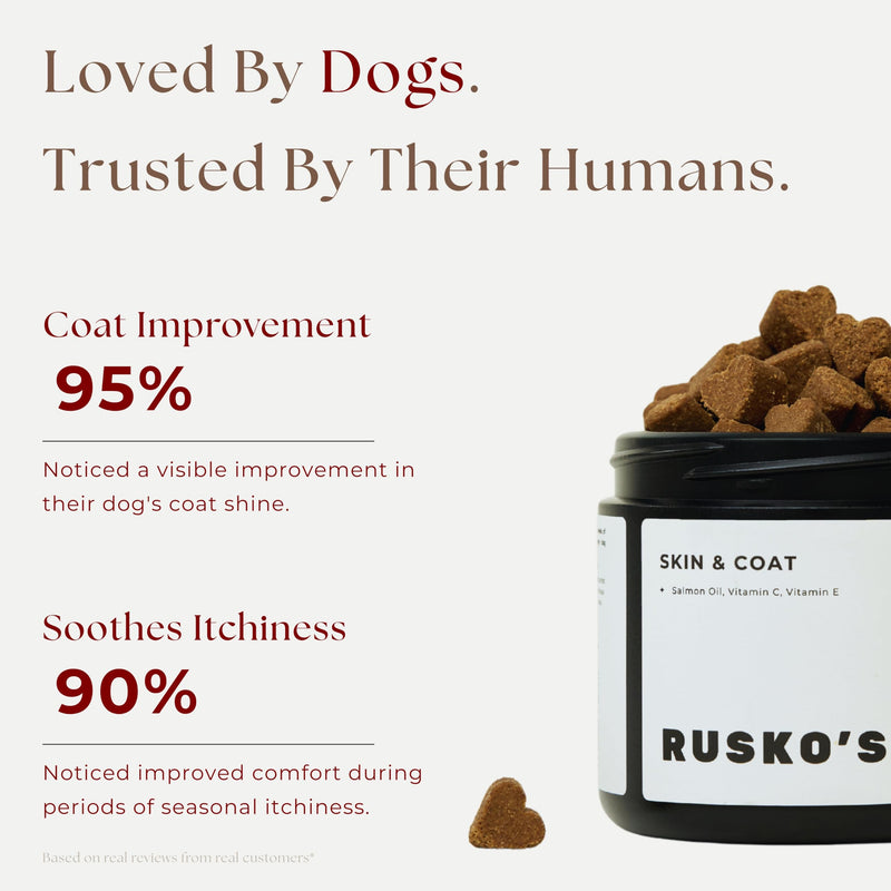 Rusko's Skin & Coat Supplement for Dogs | Soothes Itchy Skin, Restores Coat Condition & Supports Skin Barrier Health | Salmon Oil, Vitamin C & Vitamin E | 120 Soft Chews