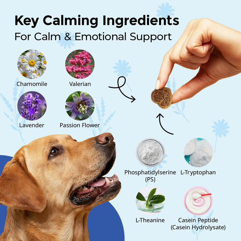 Calming Chews for Dogs L-Theanine L-Tryptophan Phosphatidylserine Valerian Chamomile Passion Flower Non-Sedating Relaxation Support All Breeds Puppy Adult Senior Chicken Flavor 120 Soft Chews