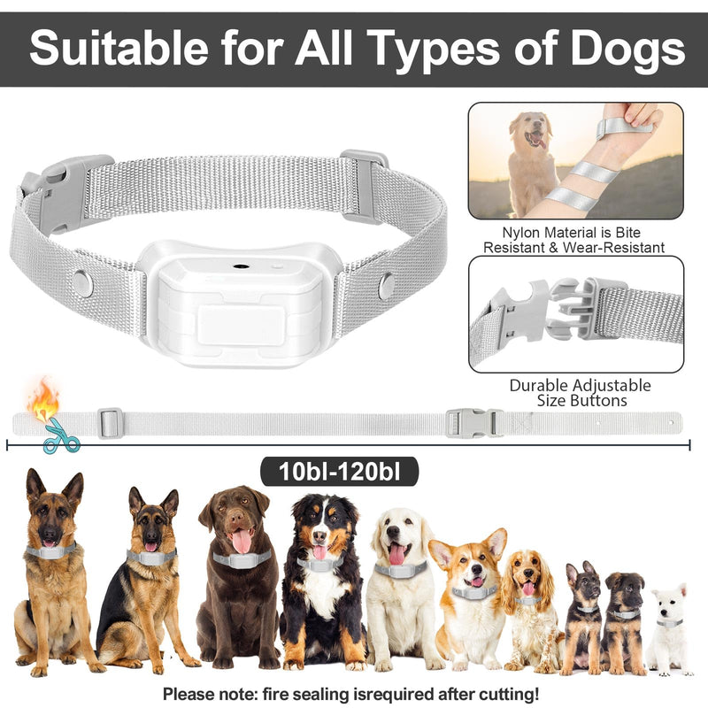 Citronella Dog Bark Collar, Spray Dog Bark Collar, Level 3 Sensitivity Adjustable IP67 Waterproof Chargeable Spray Bark Collar for Small, Medium & Large Citronella Dog Collar Grey-1B - BeesActive Australia