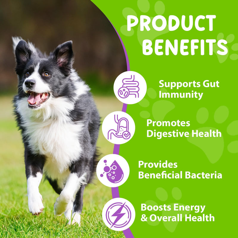 Liquid Probiotics for Dogs, 3 in 1 Dog Probiotic Drops, Prebiotic & Digestive Enzymes | Digestive Gut Flora Support, Relieve Diarrhea & Constipation, Probiotics for Dogs of All Ages and Breeds, 60ml