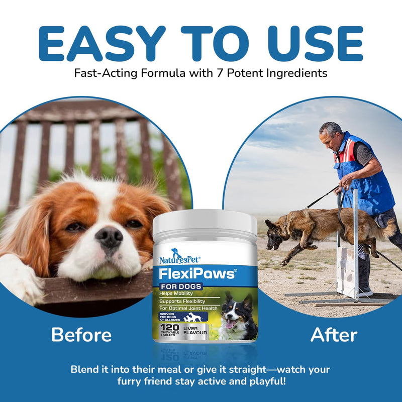 FLEXIPAWS – Joint Supplement for Adult Dogs (120 Chewable Tablets) | Glucosamine, Chondroitin & Green Lipped Mussel for Mobility, hip & joint care for dogs | Liver Flavour