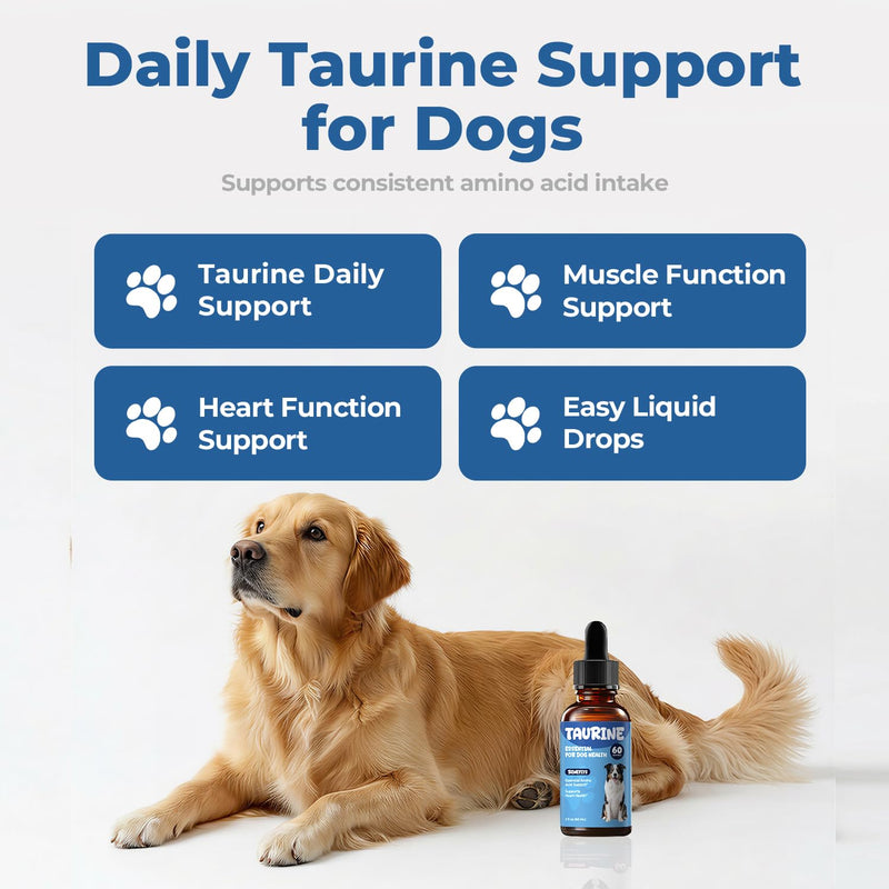Taurine Supplement for Dogs Drops, Daily Amino Acid Liquid Drops for Heart Function, Muscle Support, Energy Balance & Physical Stability, 60 ml 60 ml (Pack of 1)