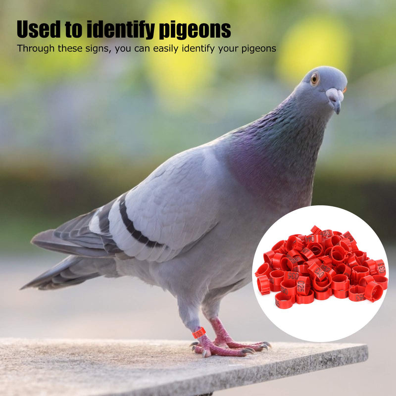 Pigeons Leg Ring, 100Pcs Plastic Bird Identify Clip Ring Poultry Markers Identify Foot Bands for Ducks Chicks Chicken Guinea Pigeons Goose Bantam Finch Lovebird Quail 12mm - PawsPlanet Australia
