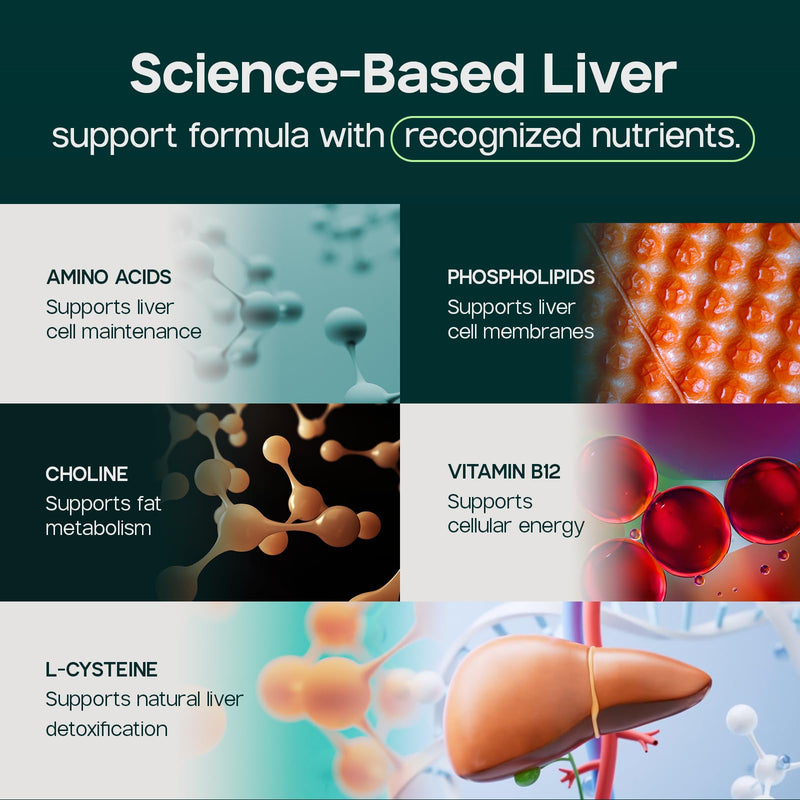 LIVERITE Liver Aid - Liver Support Supplement - 60 Tablets | Science-Based Liver Formula with Choline, Amino Acids, Phosphatidylcholine & Vitamin B12 for Liver Function & Energy Support 60 Count (Pack of 1)