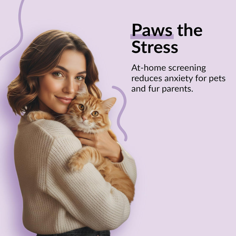 getTested Virus Combo FIV and FeLV Test for Cats, At-Home, Rapid Antigen Test Kit for Kittens and Cats, Easy Blood Screening, Fast, Accurate Results in 10 Minutes