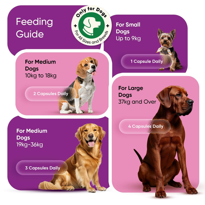 Urinary Aid for Dogs 570mg - 120 Capsules - Added With D-Mannose, Cranberry, Astragalus Root, Liquorice Root Powder & Nettle Leaf Extract - For all Ages, Sizes & Breeds - Non-GMO & Gluten-Free