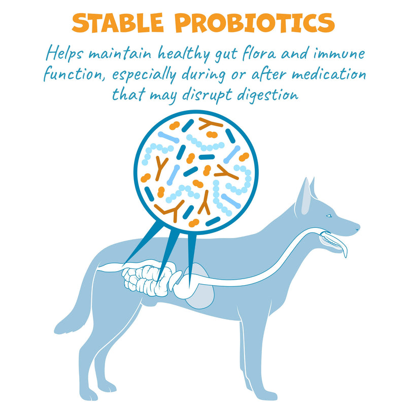 Pack Approved Flavor-Doh with Dog Probiotics - Flavored Pill Wrap for Dogs to Hide Capsules and Shape into Pill Pocket Treats for Dogs - Easy-to-Use Treat Paste for Pet Medicine - Savory Bacon (4.2oz)