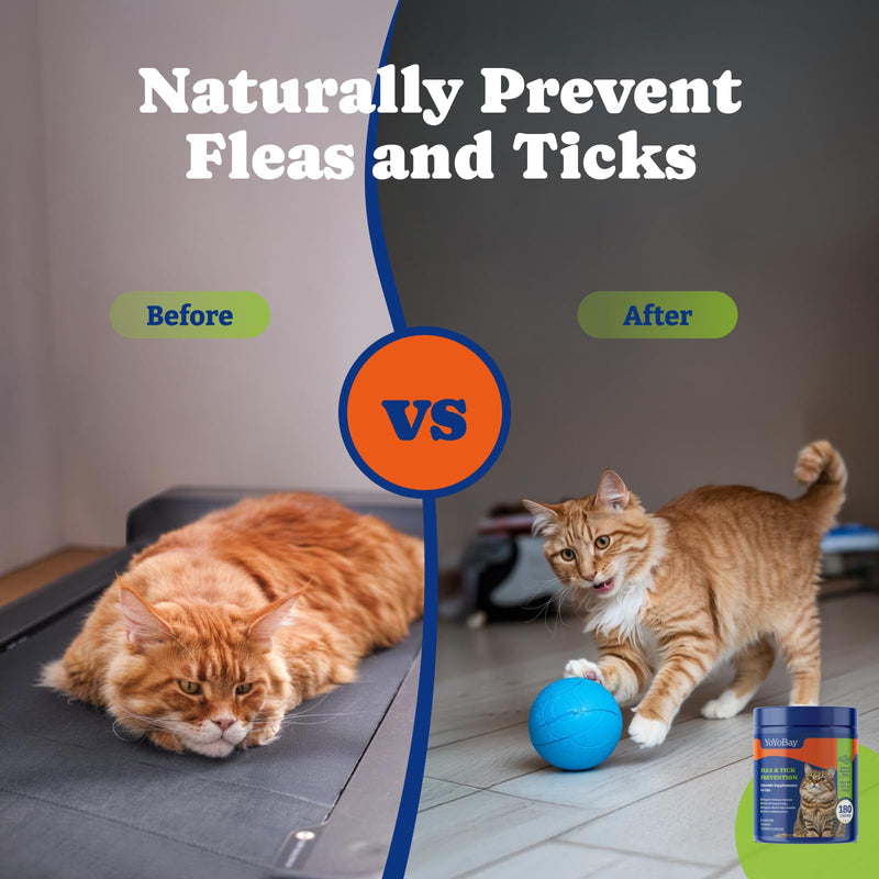 Flea and Tick Prevention for Cats Chewable - 180 Soft Chews, Salmon & Blueberry Flavor - Cats Flea and Tick Treatment Chewable, Natural Defense - Cats Immune Support Supplement 180 Chews - BeesActive Australia