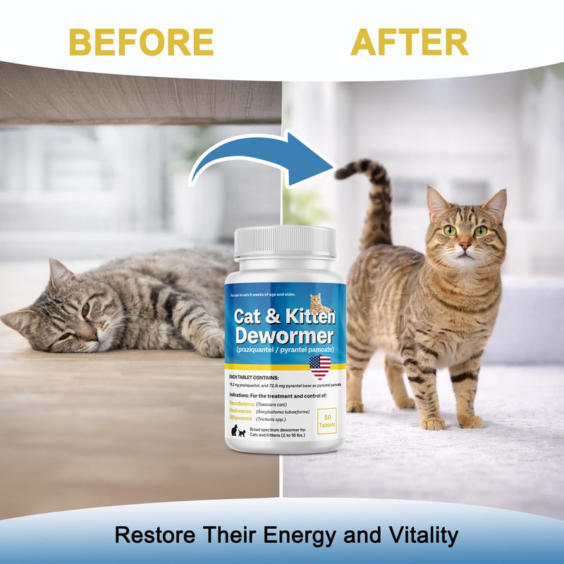 Praziquantel & Pyrantel Pamoate for Cats & Kittens, Dewo-mer for All Wormers, Tapeworms, Hookworms, Roundworms, Supports Digestive Health & Internal Balance, 50 Tablets