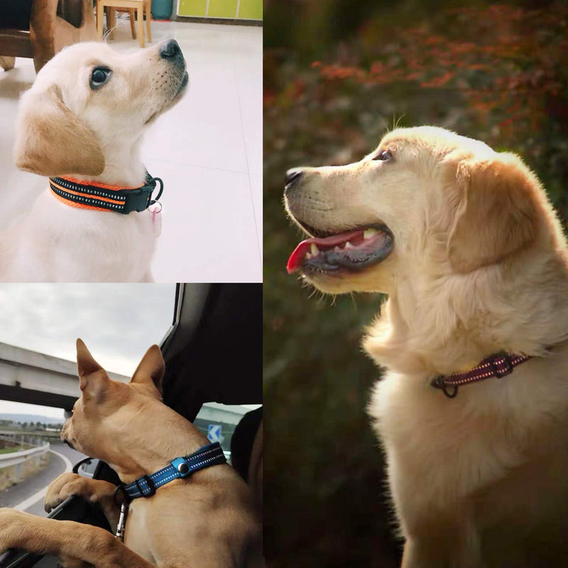 PETTOM Dog Collar Adjustable Nylon Dog Collar Breathable Reflective Collar (Blue L) Blue - BeesActive Australia