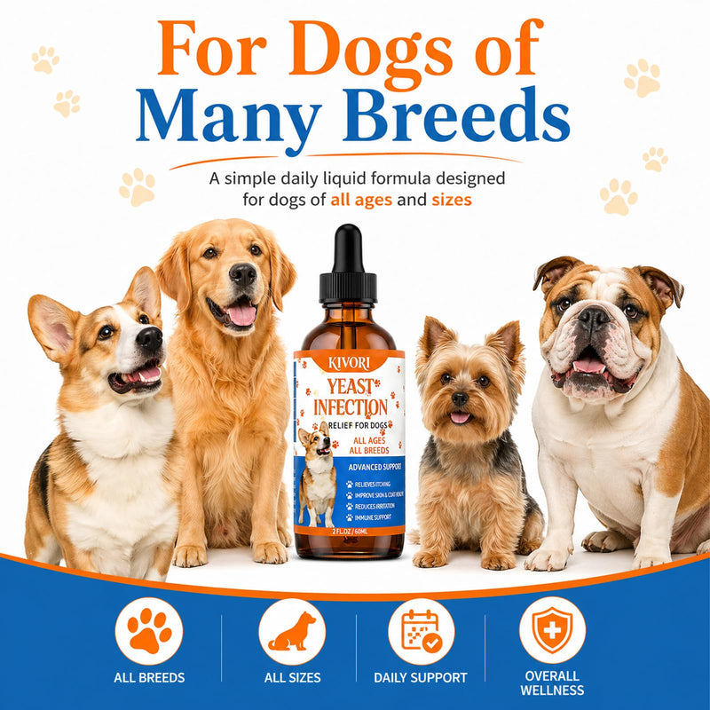 Kivori Yeast Infection Drops for Dogs, 2fl.Oz/60ml Yeast Infection Treatment for Dogs, Anti Yeast Drops, Ear and Paw Itch, Herbal Dog Supplement Drop for All Ages All Breeds. (1PCS) 1PCS