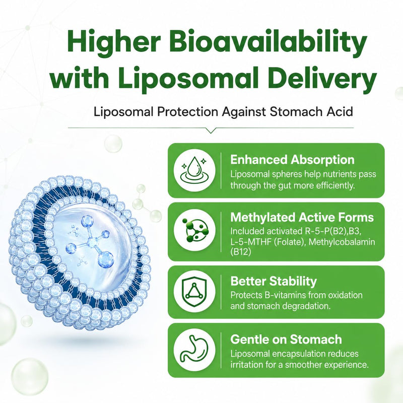 Liposomal B Complex for High Absorption Methylated B12,L-Methyfolate(5-MTHF),Full Active B Vitamins with Choline Inositol-Vegan, Non-GMO,3 Month Supply 30 Count (Pack of 3)