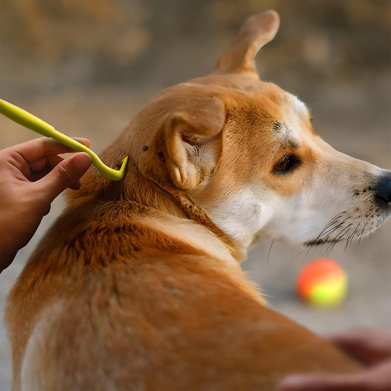 ONEBOOM tick tweezers set for dogs and cats, tick hooks in 3 sizes and 2 tick tweezers, easy to use, suitable for safely removing ticks from pets and people-red, green - BeesActive Australia