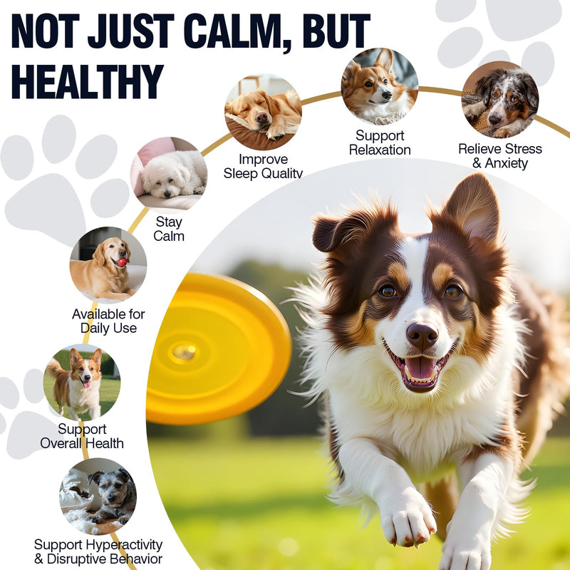 Dog Calming Chews 200ct, Calming Chews for Dogs - Anxiety and Stress Relief Treats Melatonin Bites Sleep Calm Dog - Separation, Fireworks, Thunder, Barking for Dogs - Chicken