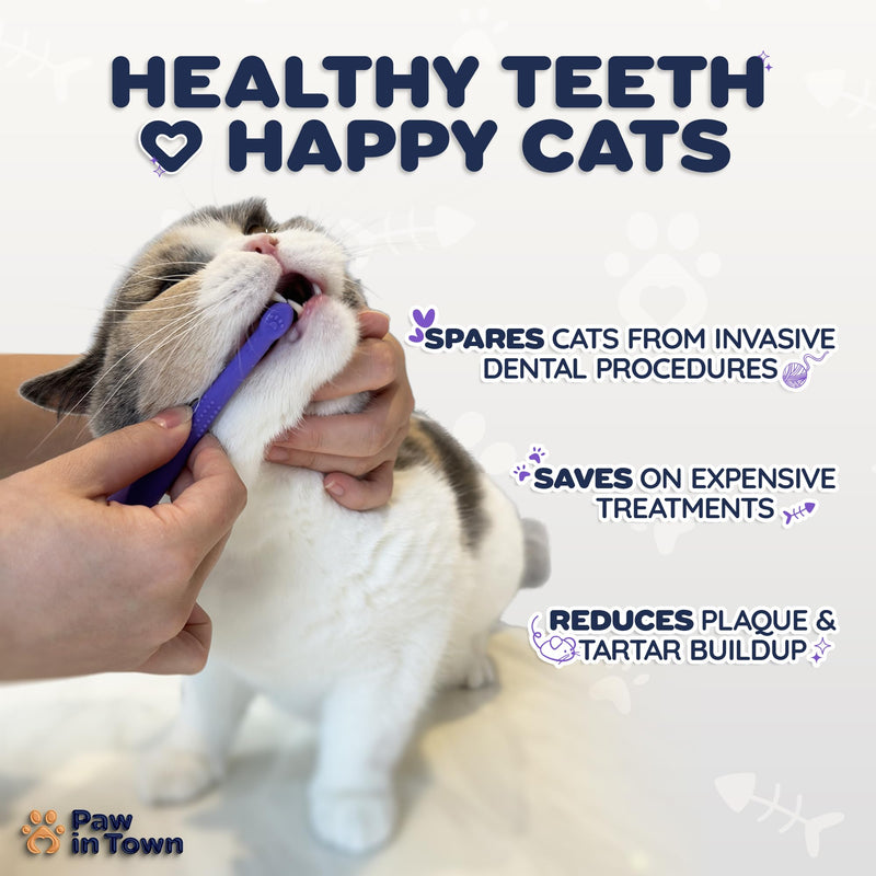 PAWINTOWN Soft Cat Toothbrush Set – Suitable for Dogs – Food Grade Silicone – Cat Dental Care, Cat Teeth Cleaning, Cat Tooth Brushing Kit (Tropical Teal) Tropical Teal 2 Count (Pack of 1) - BeesActive Australia