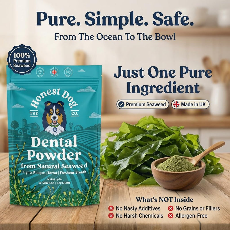 Honest Dog Co. Dental Powder for Dogs - Easy Seaweed Food Topper for Fresh Breath, Plaque & Tartar Removal | Natural Teeth Cleaning & Gum Health | Made in UK | 120g (up to 60 servings)