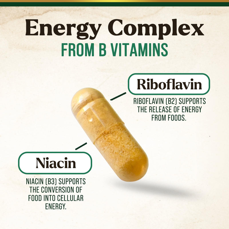 B Complex Vitamin Supplement with Vitamin C & Folic Acid - 60 Capsules | Super B Vitamin Complex - Contains B1, B2, B3, B6, and B12 vitamins for comprehensive nutritional support 60 Count (Pack of 1)