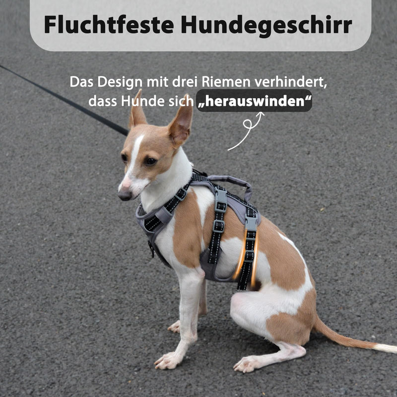 Huntboo Safety Harness Dog Escape Proof, Panic Harness for Dogs, Reflective Harness Dog with Handle, Adjustable Dog Harness for Small, Medium and Large Dogs (Black, M) Medium (1 Piece) Black - BeesActive Australia