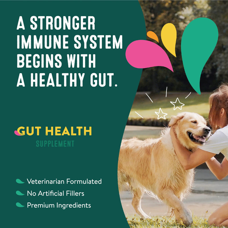 Dog Gut Health Probiotics Supplement | Improves Digestive Health and Immune System Support for Dogs and Puppies | All Natural Ingredients Tasty Kibble Dog Food Topper | 21 Count Pack - PawsPlanet Australia