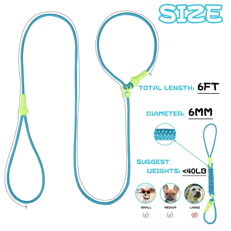 DaFuEn 6 FT Dog Slip Lead Dog Leash Dog Classic Training Leash Lightweight Durable Slip Leads for Dogs No-Pull Slip Leash and Collar Dog Leash for Small Medium Puppies Blue 1.8m - BeesActive Australia