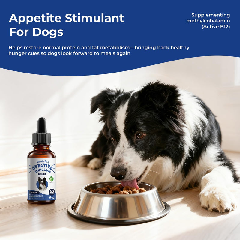 Appetite Stimulant for Dogs – Liquid Vitamin B12 Drops, Methylcobalamin(Methyl B12) Dog Supplement, Boosts Appetite, Energy, Mood, Recovery - 2 fl oz (60ml)