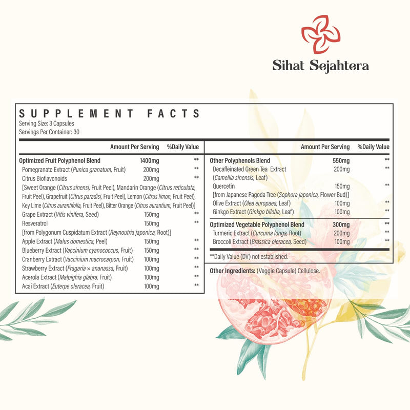 Polyphenols Supplement with Resveratrol & Quercetin, 270 Capsules | Plant-Based Formula • Polyphenol Superfood Blend • Botanical Antioxidants • Daily Wellness Formula 90 Count (Pack of 3)