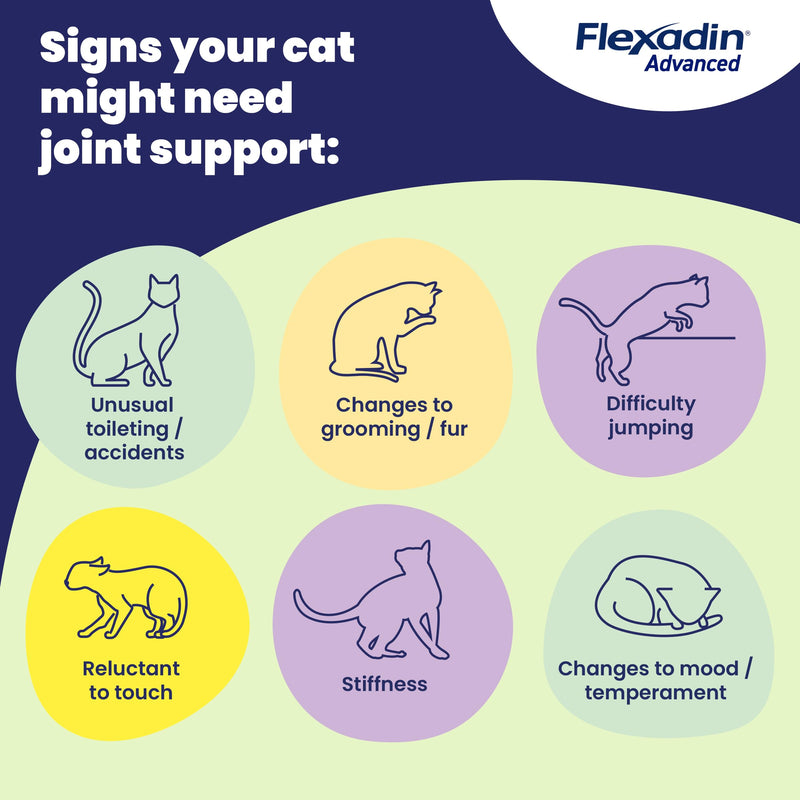 Flexadin Advanced Joint Care Supplement for Cats containing Undenatured Type II Collagen, Manganese, Methionine, Omega 3 & Vitamin E | 30 chews