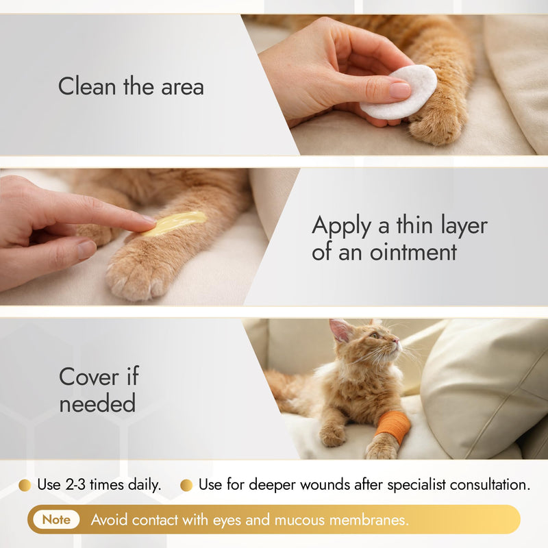 Manuka Honey Ointment 500+ MGO – Dog Hot Spot Treatment for Scratches, Burns, Irritations – Cat Wound Care with 55-PPM Colloidal Silver for Dogs – Manuka + Silver Healing Ointment in a 2-oz Tube Manuka Silver Ointment 2 Fl Oz x 1