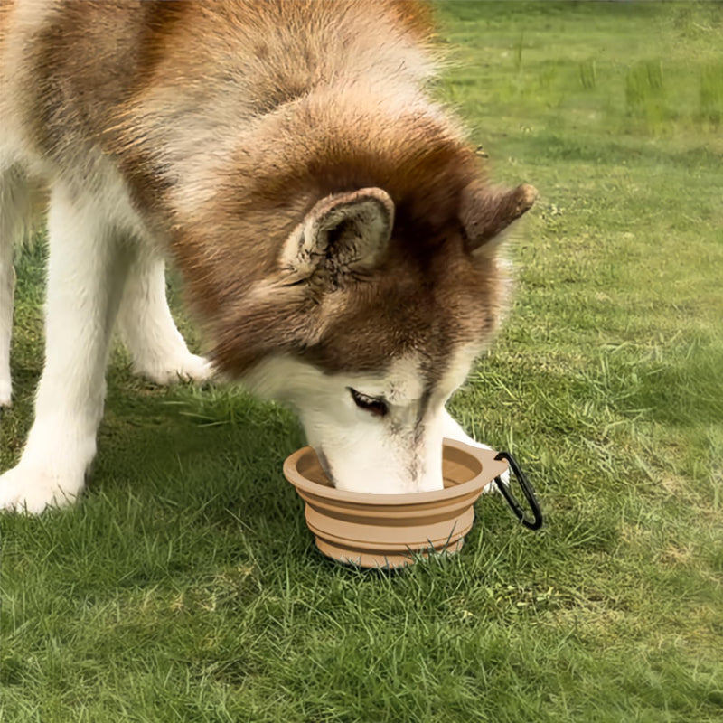 Portable Collapsible Dog Bowl, Food Grade Silicone, Large Capacity, Easy to Wash - Ideal for Outdoor Camping and Hiking, Suitable for Dogs, Cats, and Pets (Brown) Brown - BeesActive Australia