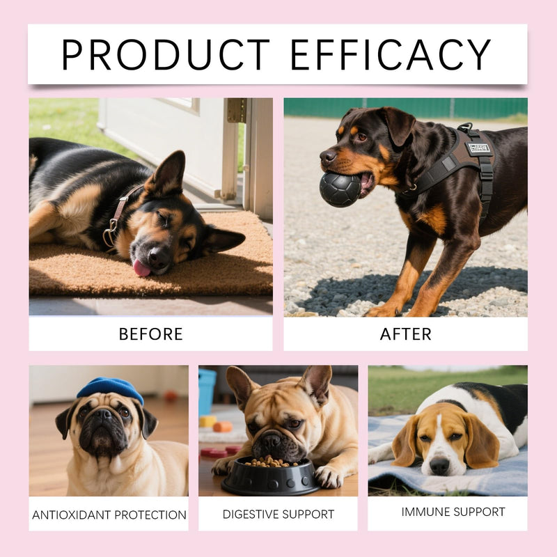 60ml Collagen for Dogs,Liquid Dog Collagen Drops,Quick Absorption C ollagen Drops for Digestion,Skin,Coat,Supports Joint Mobility,Itch Skin Relief