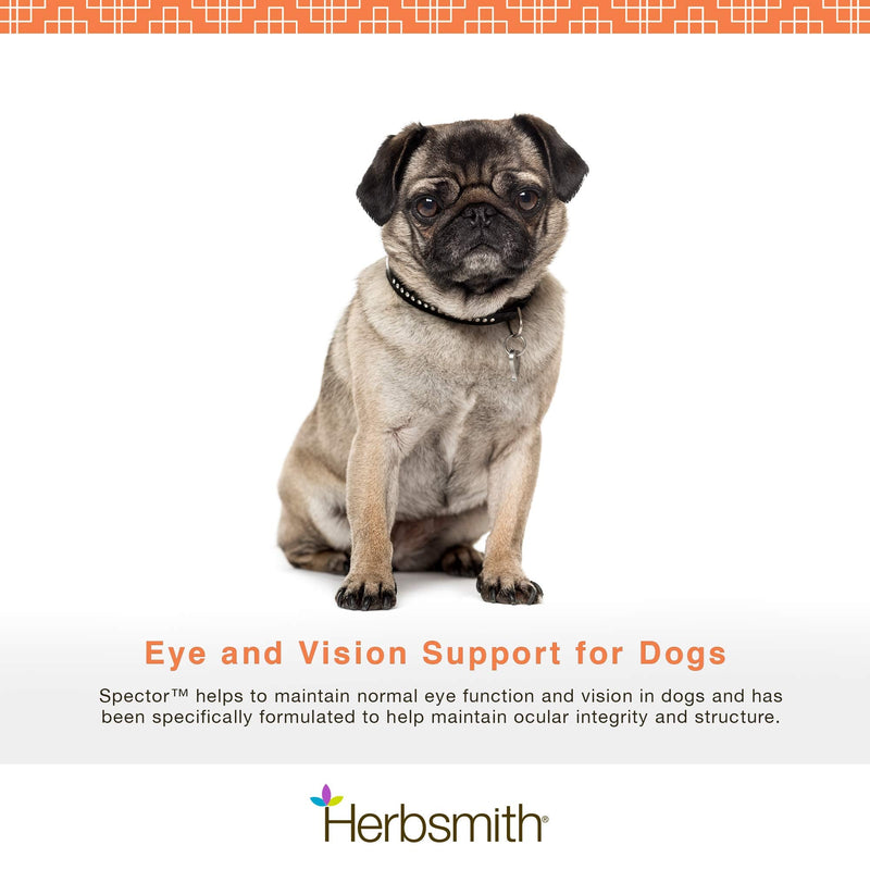 Herbsmith Spector - Eye and Vision Support for Dogs - Repair Greying to The Eyes - Senior Supplement for Dogs - Antioxidant for Dogs - 60ct Small Chews 60ct Small Chews (For Dogs Under 30lbs) - BeesActive Australia