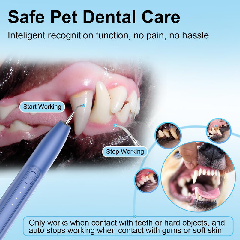 Ultrasonic Dog Teeth Cleaner, 3 Modes Sonic Tooth Cleaner for Dogs, Low Noise Sonic Dog Plaque and Tartar Remover with LED Light, 2 Cleaning Head, Toothbrush, Dental Mirror Probe Tweezer and Scraper Blue