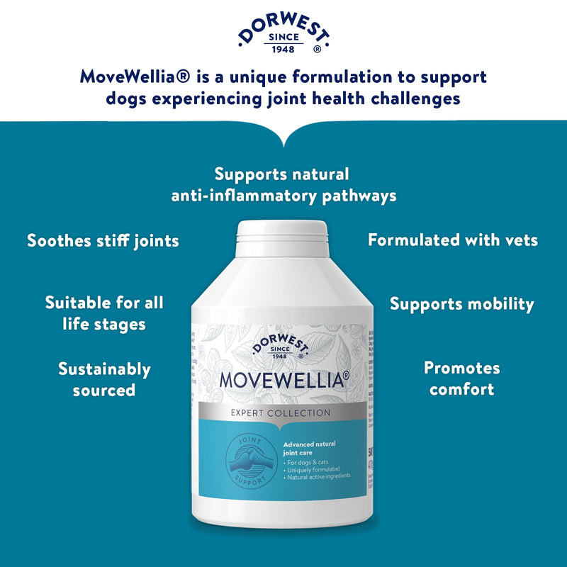 Dorwest Herbs MoveWellia Joint Care Supplement for Dogs and Cats - 500 Tablets - Natural Dog Supplements for Joint Discomfort with Boswellia, Chondroitin, Glucosamine and Celery Seed