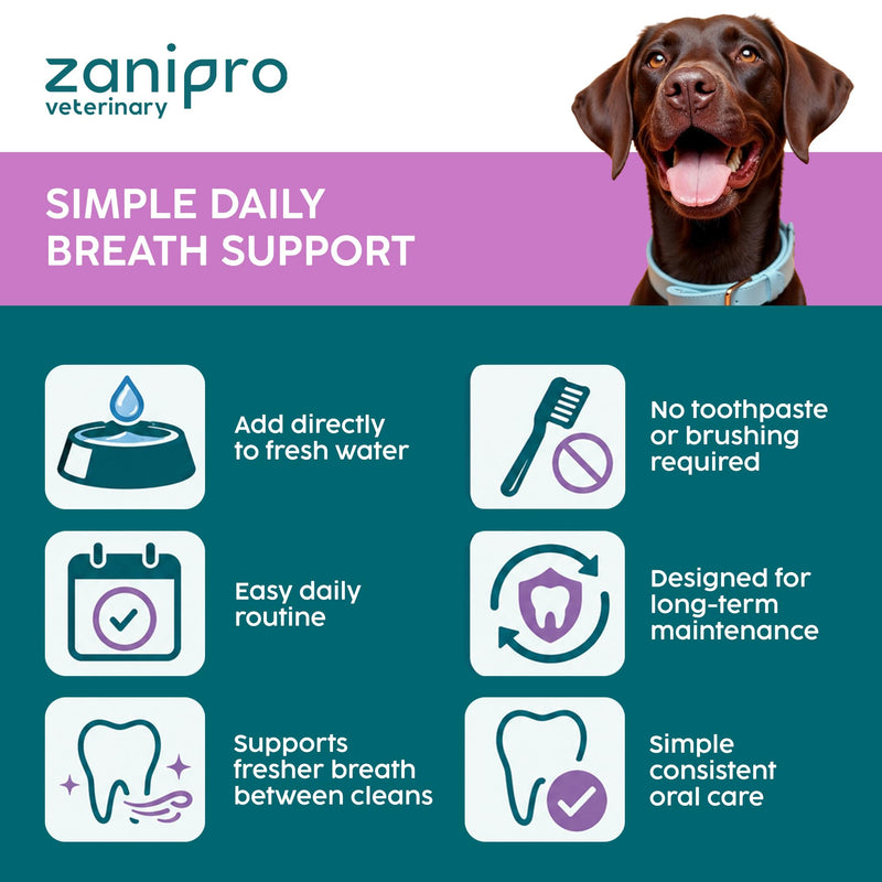 Dog Breath Freshener 500ml – Herbal Dental Water Additive for Dogs with Sage, Peppermint & Parsley, Daily Oral Care & Fresh Breath Support for Dogs