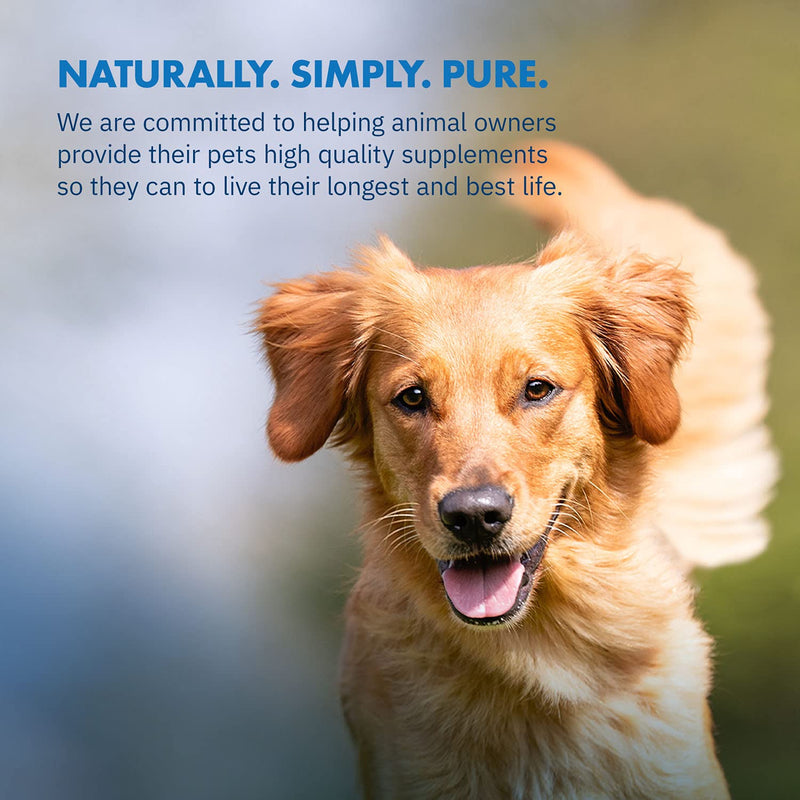 Total Digest™ Canine Probiotics and Enzymes for Dogs, All-Natural Digestive System Dietary Supplement Formula for Dogs (120 Days) - BeesActive Australia