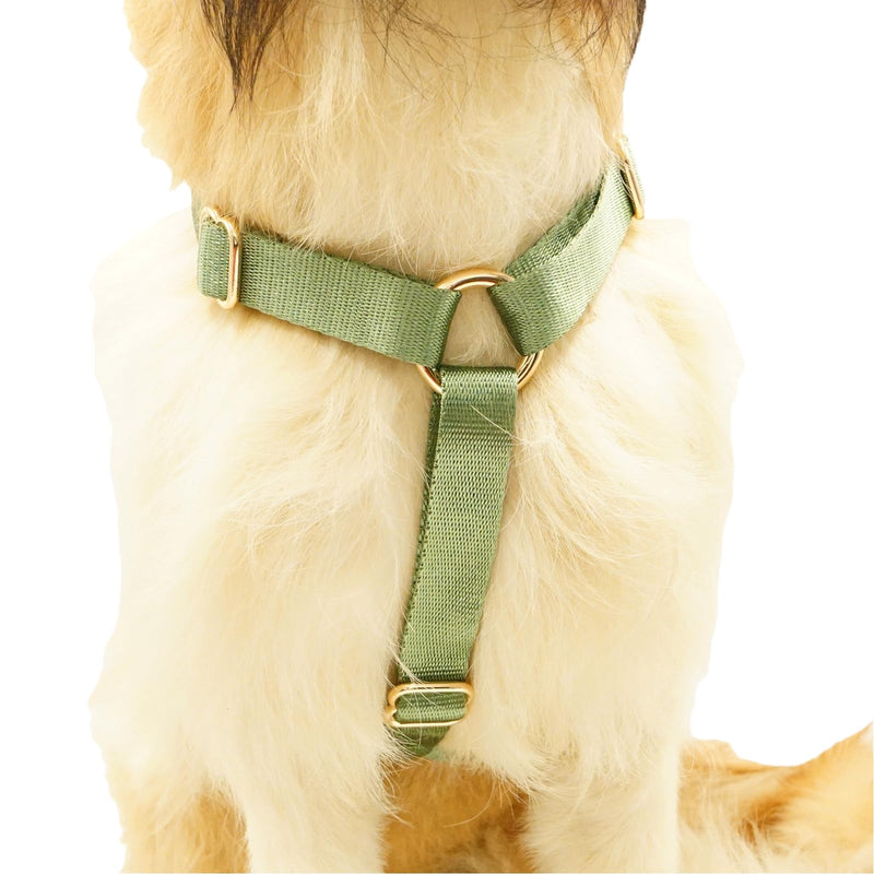Nylon No Pull Dog Harness with Gold Metal Buckles,Easy Walking and Training Dog Harness (Sage Green, L) Sage green - BeesActive Australia
