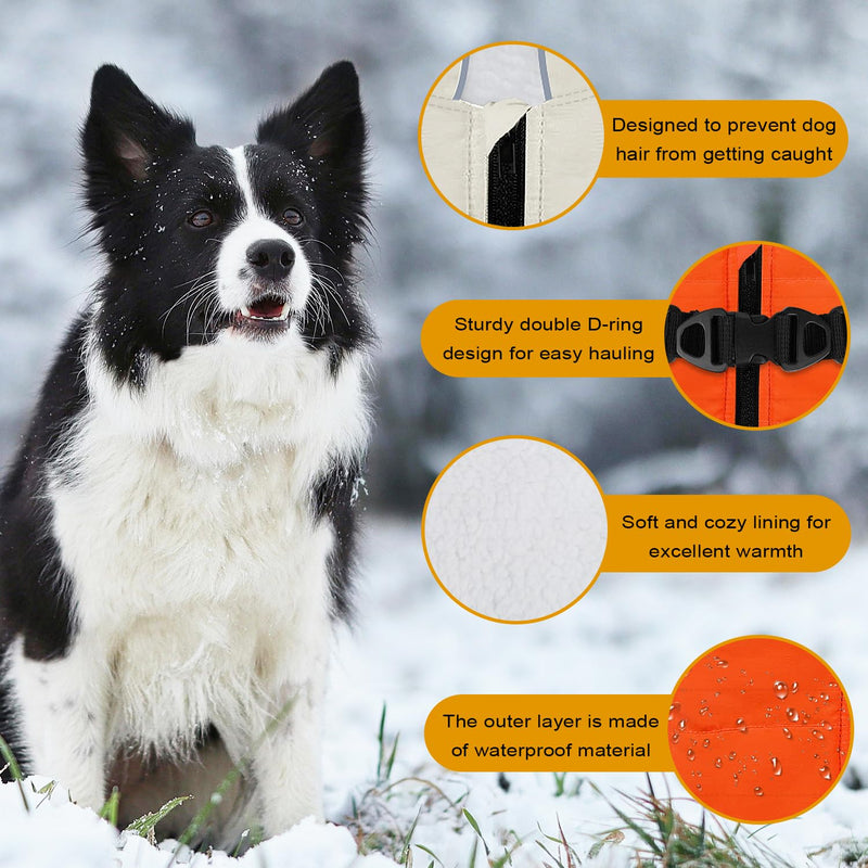 Warm Dog Winter Coat,Waterproof Dog Jacket with Built-in Harness,Dog Cold Weather Coat with Reflective Stripes,Winter Snow Dog Warm Coat for Small, Medium Dogs,Cold Weather Cozy (Black, L) Black - BeesActive Australia