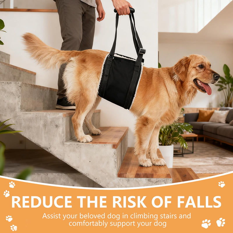 Dog Carrying Aid, Adjustable Walking Aid and Rehabilitation Carry Strap for Various Sizes, Safety Support for Disabled, Injured or Older Dogs, L